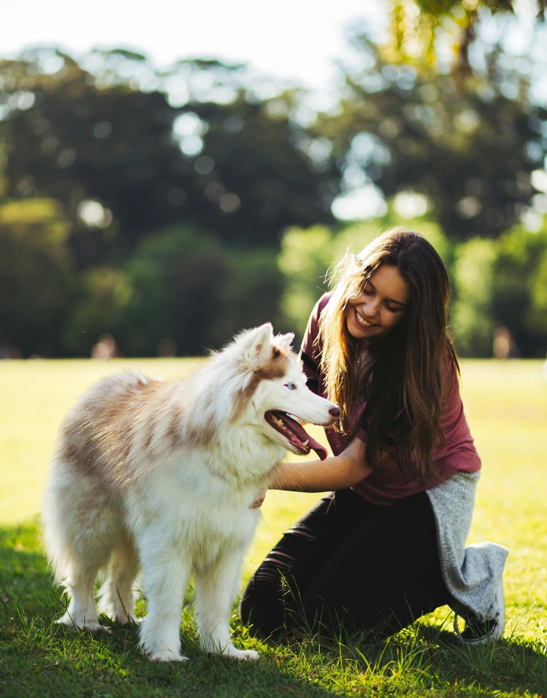 Pet Supplies
